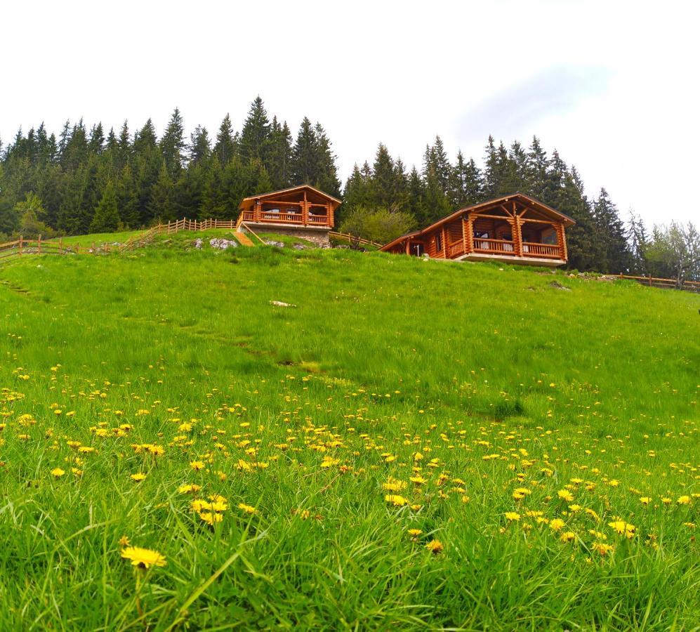 Къщи За Гости Под Звездите Pamporovo Dış mekan fotoğraf